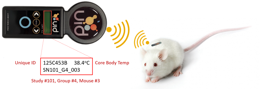 Easy insert mouse and scan microchip